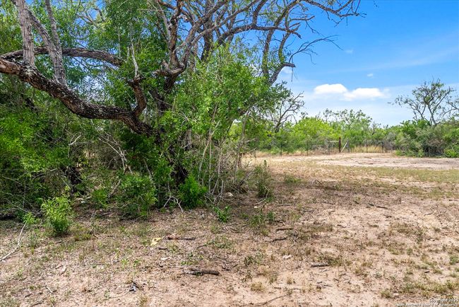 1402 Stephens Dr, Home with 0 bedrooms, 0 bathrooms and null parking in George West TX | Image 6