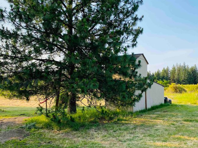 View of grassy yard featuring an outdoor structure and an outbuilding | Image 38