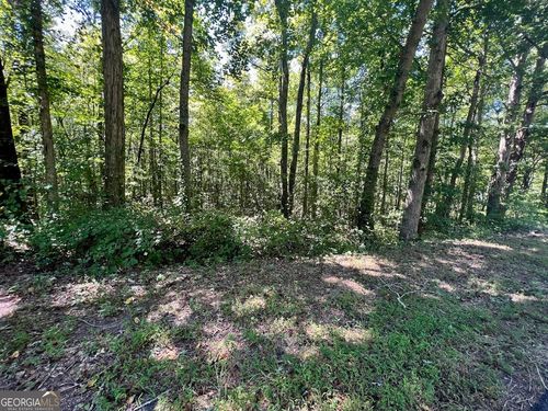 0 Old Draketown Trail (5.62 Ac), Temple, GA, 30179 | Card Image