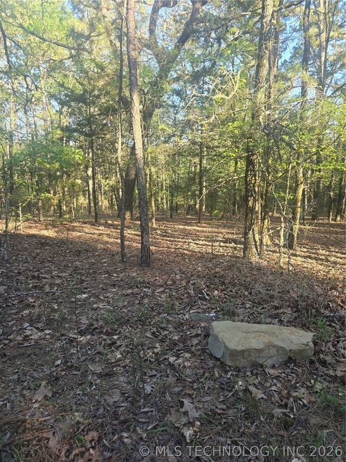 43 Buck Creek Trl, Moyers, OK, 74557 | Card Image