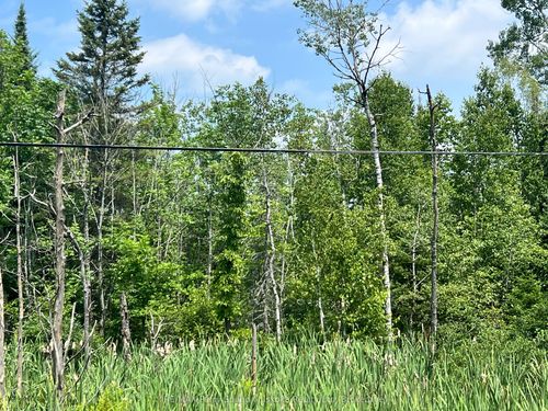 00 Hwy 124/520 Highway, Magnetawan, ON, P0A1A0 | Card Image