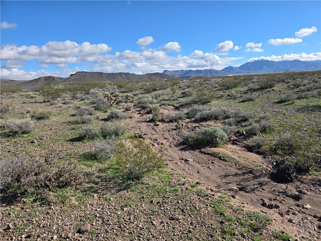 Land in Dolan Springs
