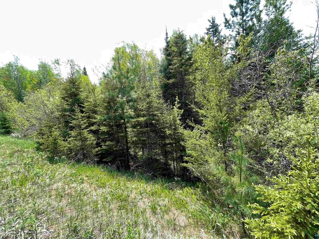 6095 Highway 1, House other with 1 bedrooms, 1 bathrooms and null parking in Silver Bay MN | Image 40