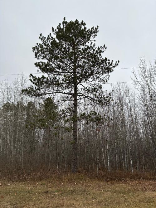 4067-b-ON Burrows Lake Rd, Tomahawk, WI, 54487 | Card Image