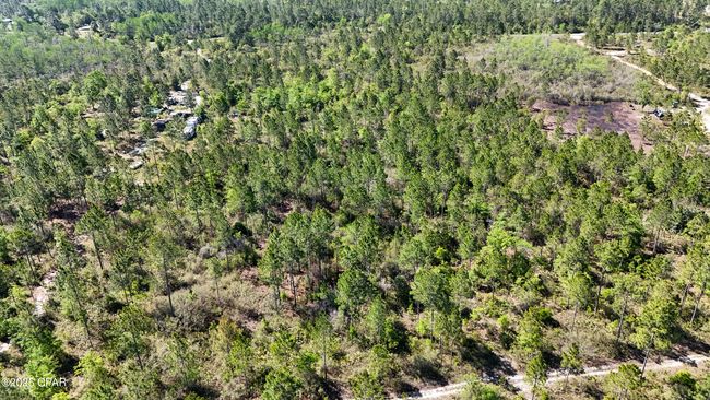 0 Nw Miller Rd, Home with 0 bedrooms, 0 bathrooms and null parking in Altha FL | Image 10