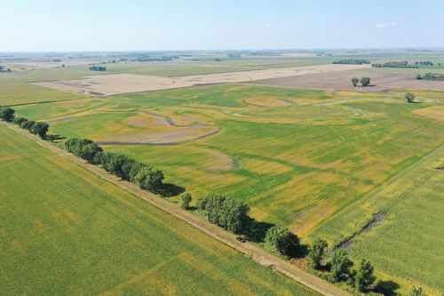 TBD County 8, Brandrup Twp, MN, 56522 | Card Image