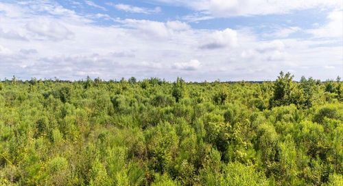 0 Ouzts Rd, Edgefield, SC, 29824 | Card Image