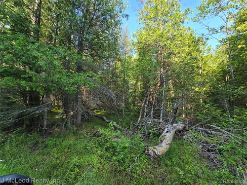 29240 S Aldrich Rd, Pickford, MI, 49774 | Card Image