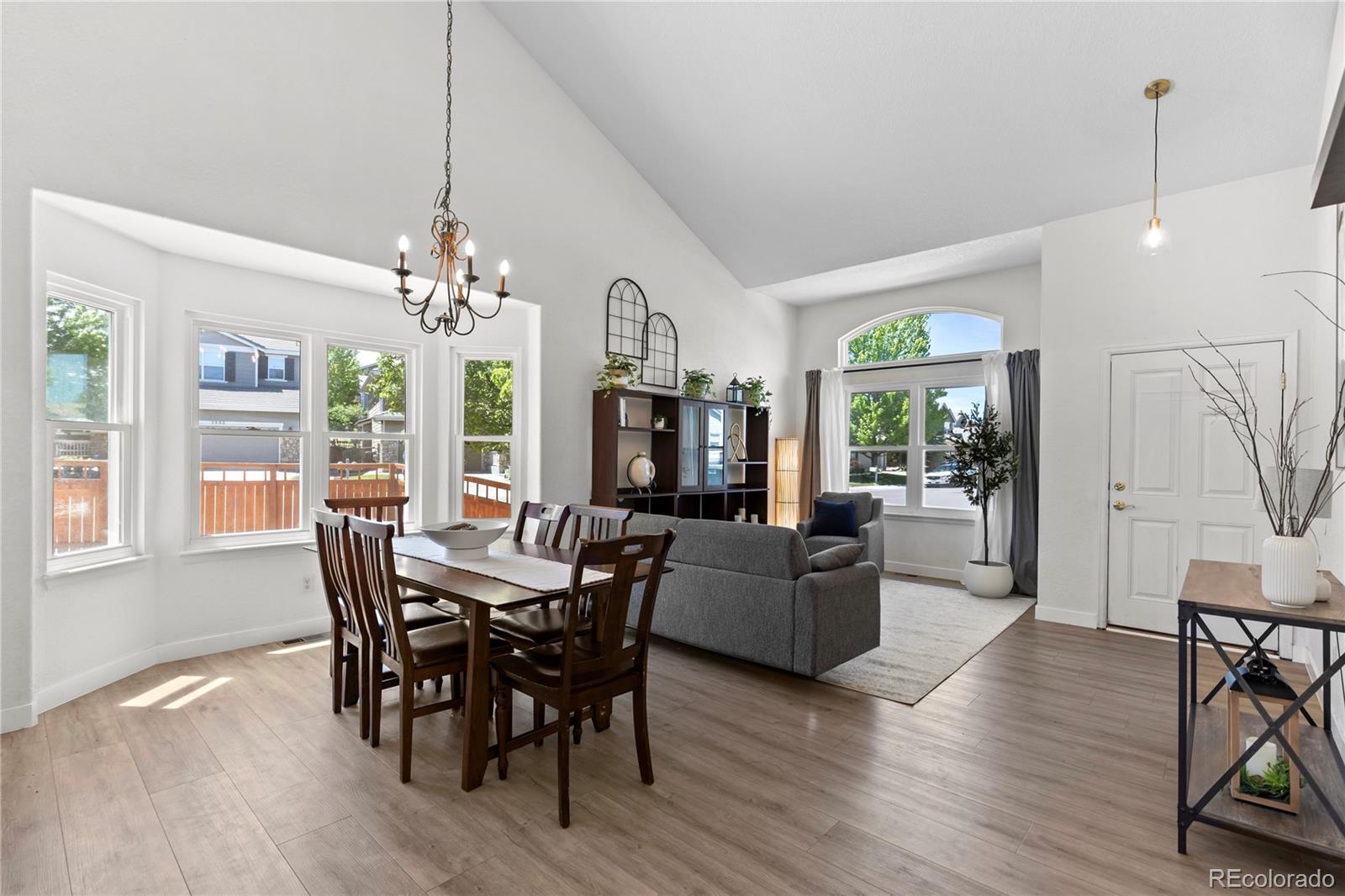Residential in Castle Rock 4