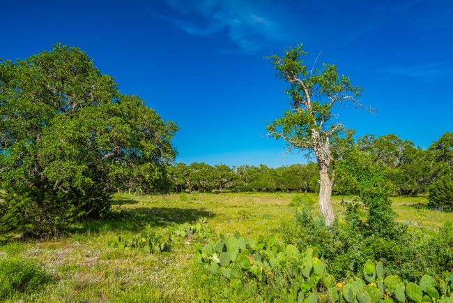 2068 S Laird Rd, Home with 0 bedrooms, 0 bathrooms and null parking in Harper TX | Image 48