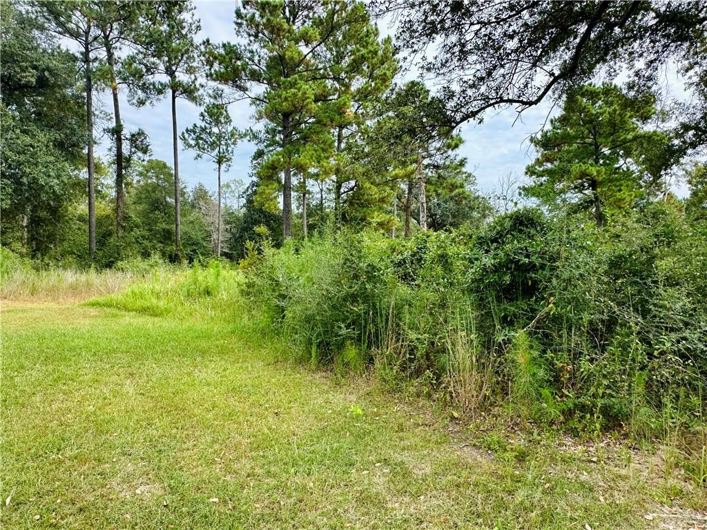 Land in Mobile 3