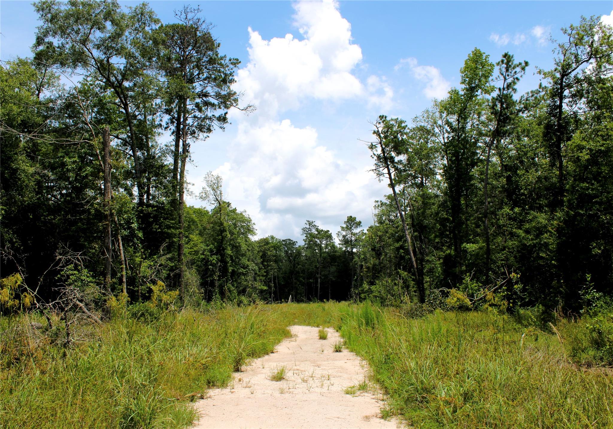 Land in Saratoga