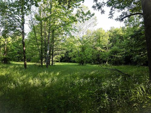 0 Bunches Chapel Rd, Parsons, TN, 38363 | Card Image