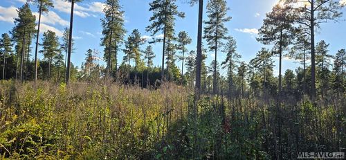 Lot 2 W Church St, Lawrenceville, VA, 23868 | Card Image