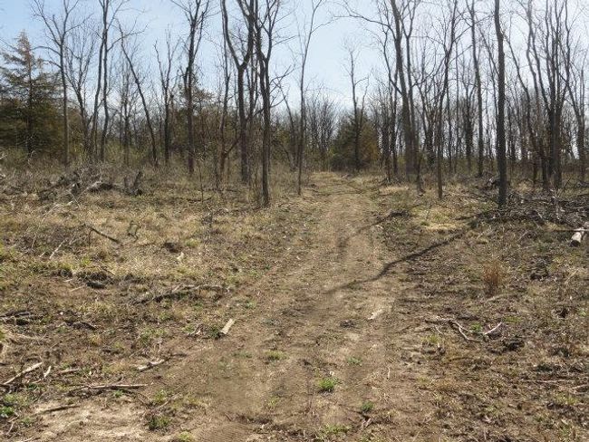 10.45 Acres Ringhand Rd, Home with 0 bedrooms, 0 bathrooms and null parking in SYLVESTER WI | Image 38