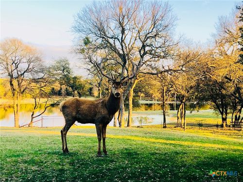 Tract 2 County Road 208, Lampasas, TX, 76550 | Card Image