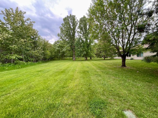 Yard.jpeg | Image 31