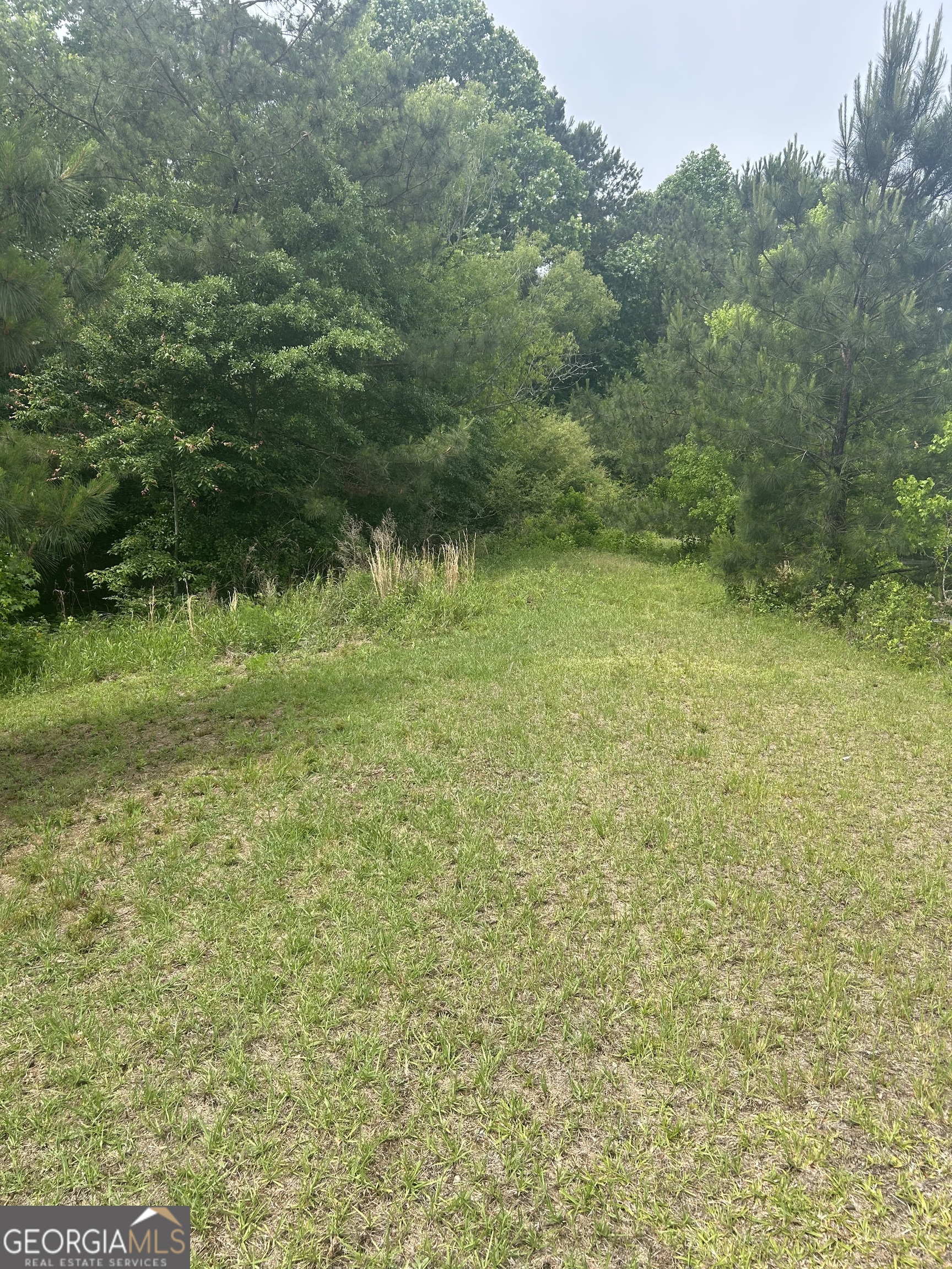 Land in Cochran 2