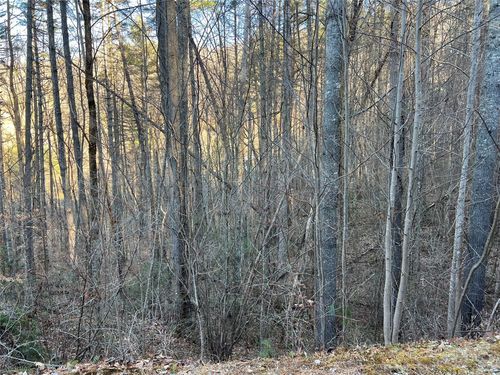 50 Rustling Woods Trl, Cullowhee, NC, 28723 | Card Image