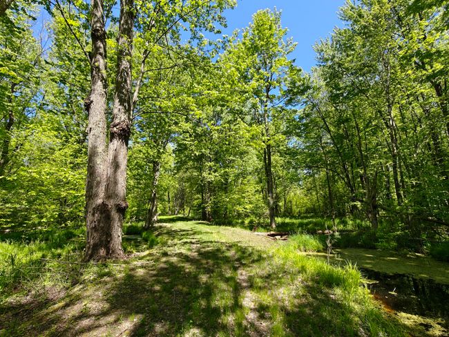 10830 3 Mile Rd, Home with 0 bedrooms, 0 bathrooms and null parking in Branch MI | Image 26