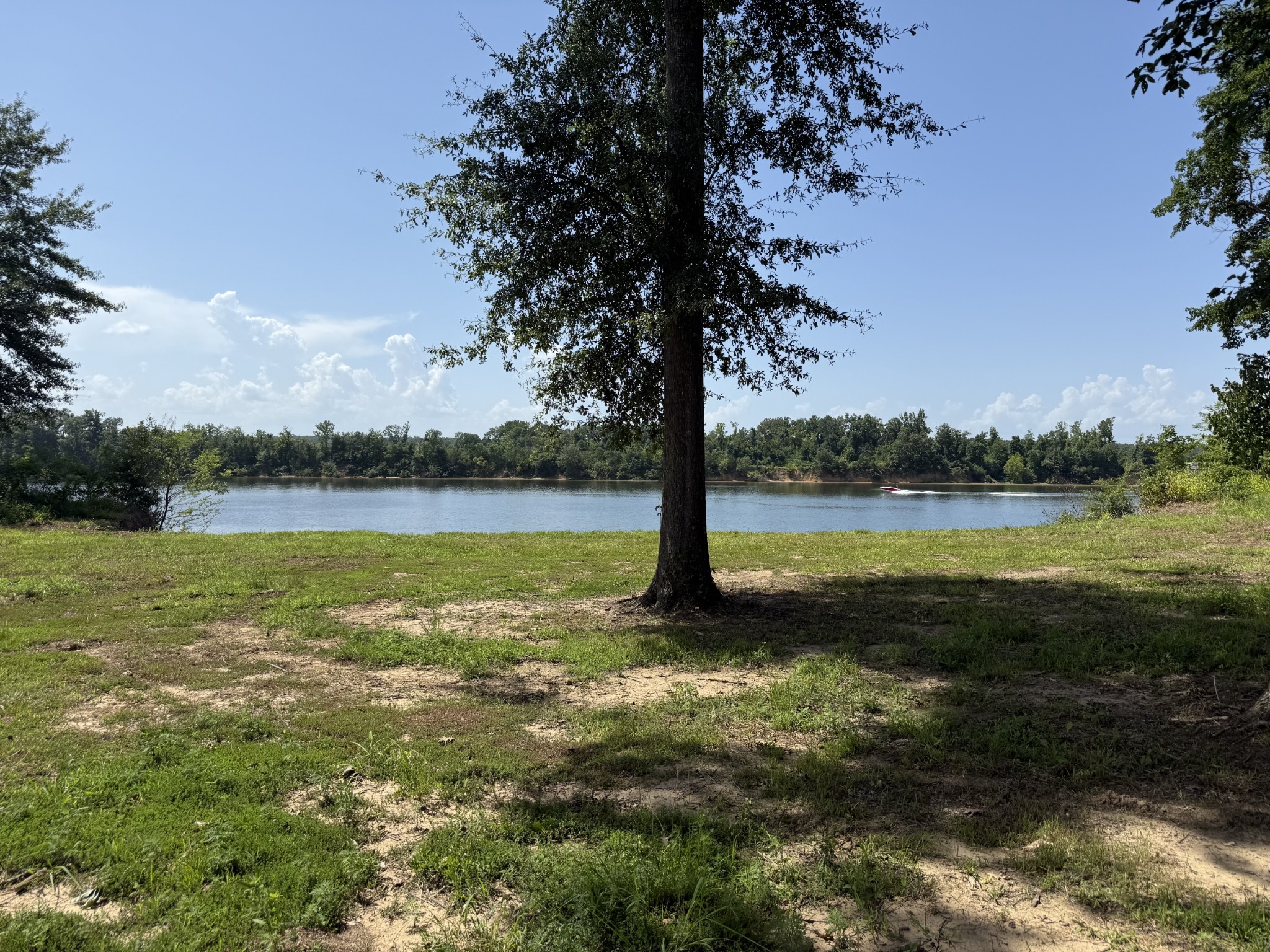 Land in Savannah 3