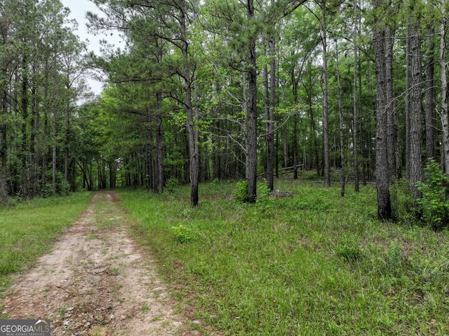 6620 Jr Sims Rd, Home with 0 bedrooms, 0 bathrooms and null parking in Irwinton GA | Image 61