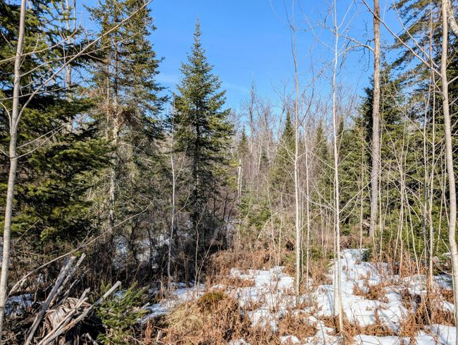 N12912 State Highway 13, House other with 2 bedrooms, 1 bathrooms and null parking in Fifield WI | Image 29