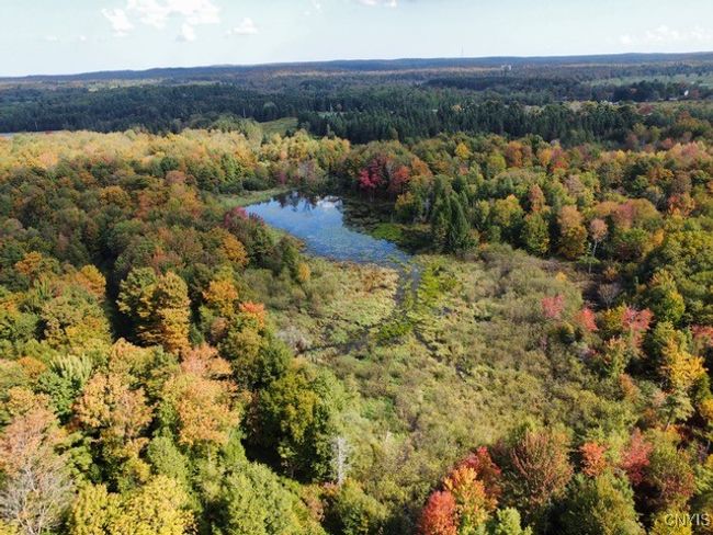 Pond in the fall | Image 43