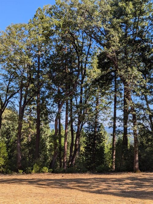 13625 Pegasus Pl, Nevada City, CA, 95959-8222 | Card Image