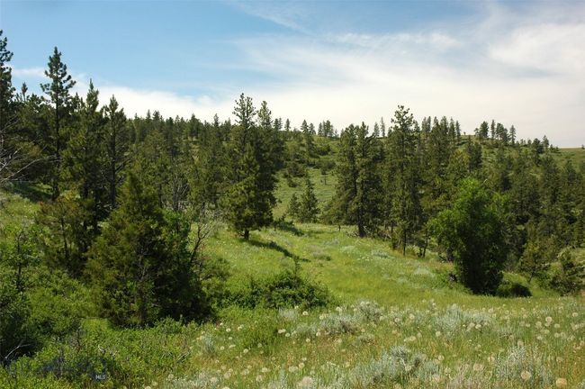 SC-25 - TBD Lone Rock Canyon Lane, Home with 0 bedrooms, 0 bathrooms and null parking in Hysham MT | Image 23
