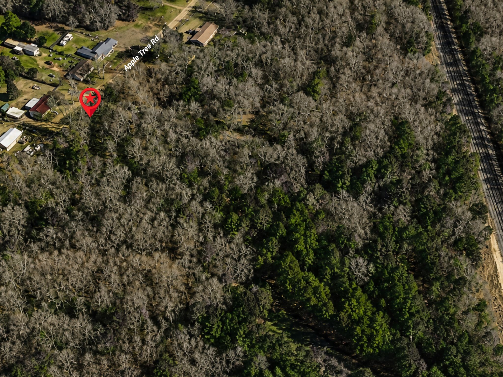 Land in Gilmer 4