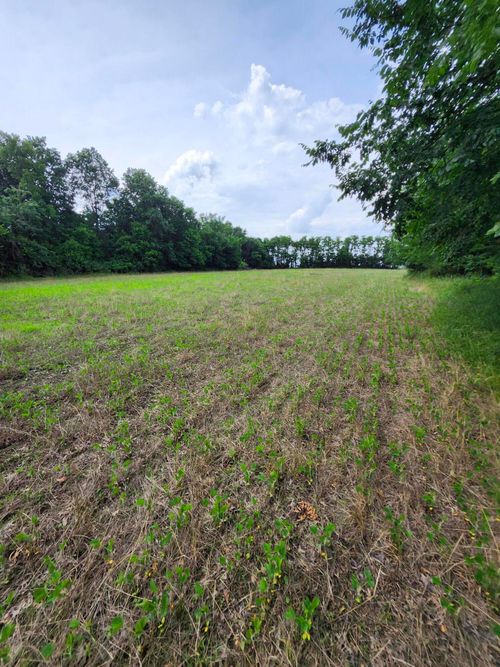 TRACT 1 Mchatton Rd, STURGEON, MO, 65284 | Card Image