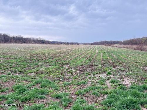 00 Strayleaf Road, Wildersville, TN, 38388 | Card Image