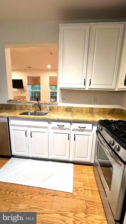 Residential Lease in RESTON 5