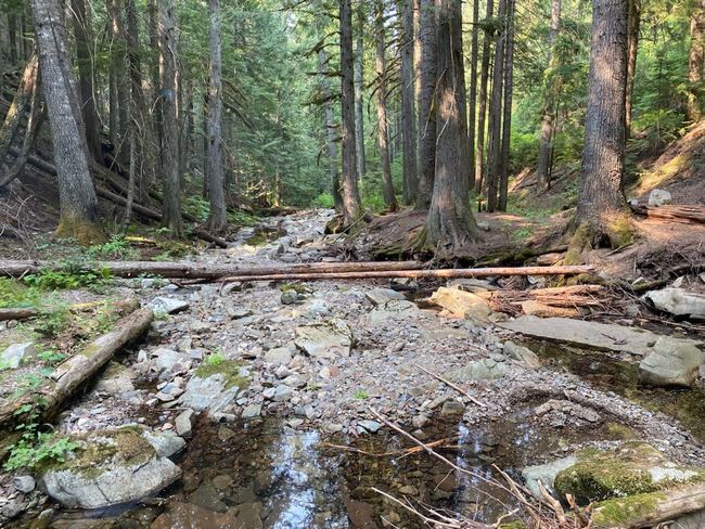 1876 Timber Creek Rd, House other with 8 bedrooms, 6 bathrooms and null parking in Haugan MT | Image 4