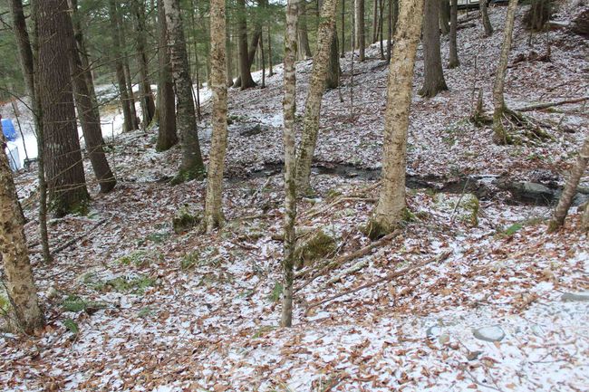 LOT-17 - 000 Wetherbee Farm Rd, Home with 0 bedrooms, 0 bathrooms and null parking in Lisbon NH | Image 26