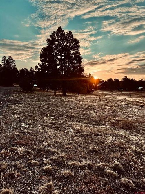 57 Putter Ct, Pagosa Springs, CO, 81147-8101 | Card Image