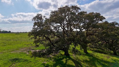 494 County Road, Hallettsville, TX, 77964 | Card Image