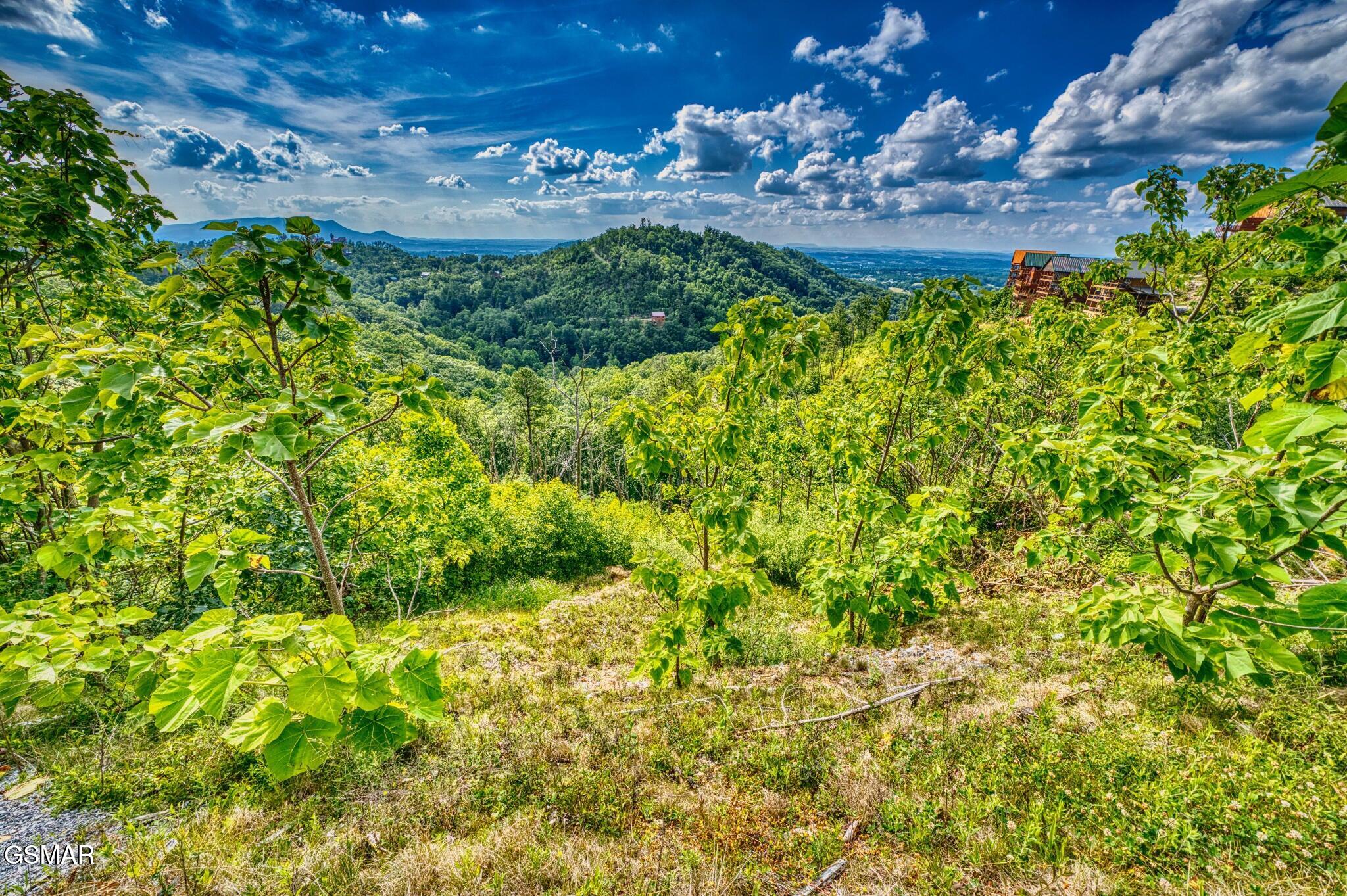 Land in Sevierville