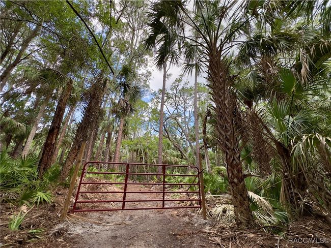 20 Highway 40 W, Home with 0 bedrooms, 0 bathrooms and null parking in Yankeetown FL | Image 6