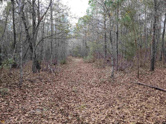 2757 Us Highway 1 N, Home with 0 bedrooms, 0 bathrooms and null parking in swainsboro GA | Image 31