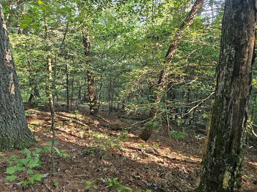 0 Bates Dr, Ellijay, GA, 30540 | Card Image