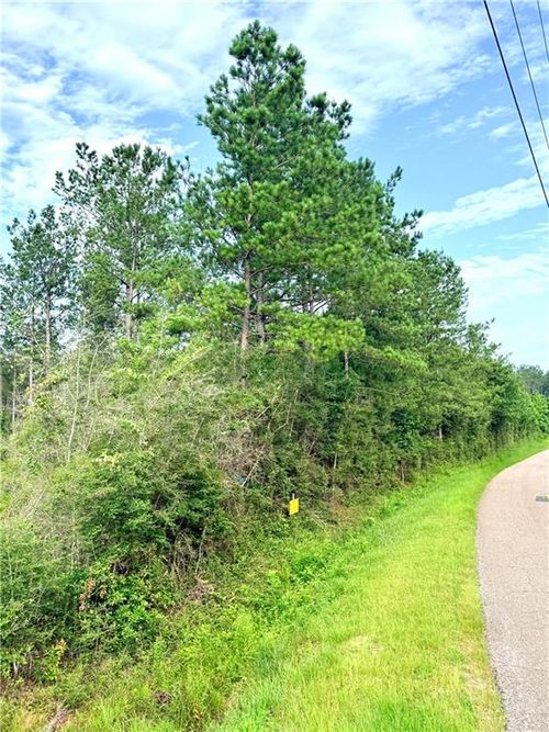 Lot1-A 5ac Lee Road, Franklinton, LA, 70438 | Card Image
