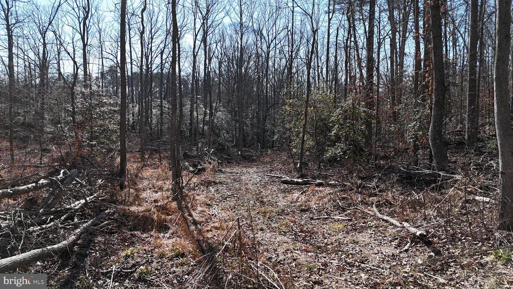 Land in HUGHESVILLE 2