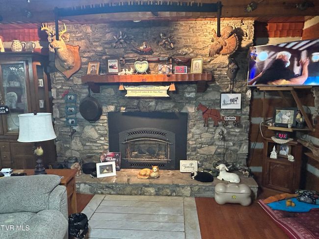 gas fireplace. Marbel Mat in the hardwood floor | Image 38