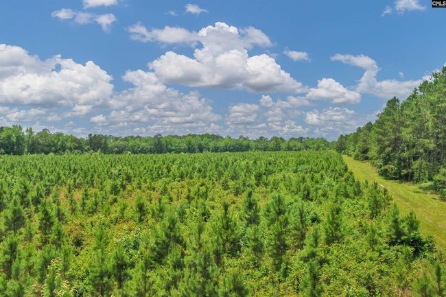 0000 N Brewington Rd, Home with 0 bedrooms, 0 bathrooms and null parking in Manning SC | Image 21