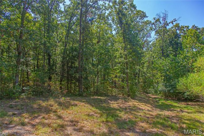 30801 Godt Rd, Home with 0 bedrooms, 0 bathrooms and null parking in Wright City MO | Image 5