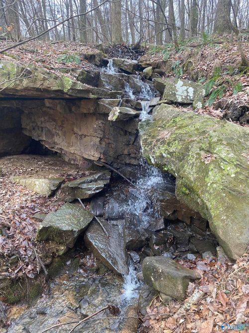 123456 County Road 121, Fort Payne, AL, 35968 | Card Image