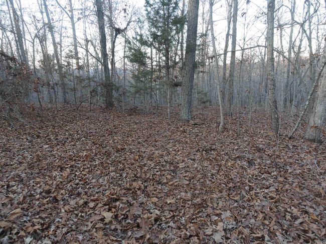 313 Mayapple Rd, Home with 0 bedrooms, 0 bathrooms and null parking in Harriet AR | Image 5