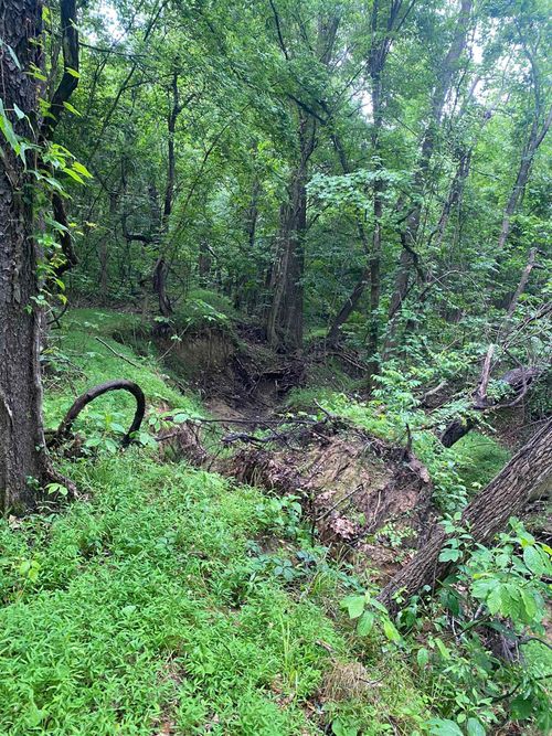 10 acres County Road 326, Jonesboro, AR, 72401 | Card Image